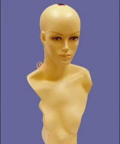 Best Wig Outlet Hair Wig Mannequin MQ108F (USED)