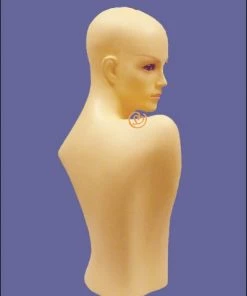 Best Wig Outlet Clearance Items Hair Wig Mannequin MQ109F (USED)