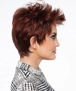 Wigs For Women Raven | Lace Front Synthetic Wig By Envy