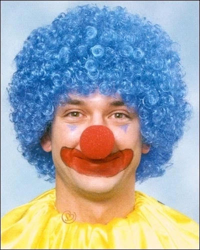 Franco Costume Wigs Economy Afro Costume Wig By Franco 4 Franco Costume Wigs Economy Afro Costume Wig By Franco