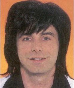 Franco Costume Wigs 1970s Shag Costume Wig By Franco