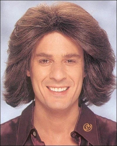 Franco Costume Wigs Feathered 1970s Male Costume Wig By Franco 3 Franco Costume Wigs Feathered 1970s Male Costume Wig By Franco