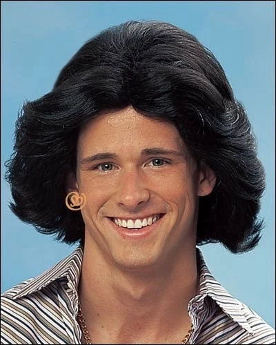 Franco Costume Wigs Feathered 1970s Male Costume Wig By Franco 4 Franco Costume Wigs Feathered 1970s Male Costume Wig By Franco