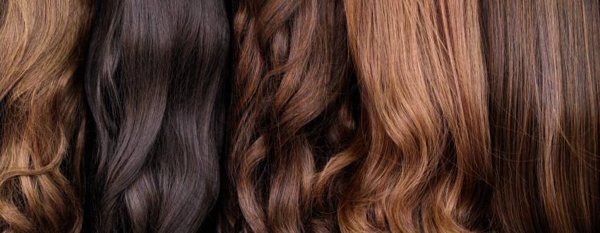 Best Wig Outlet Sales -Best Wig Outlet Sales shutterstock 616815365banner